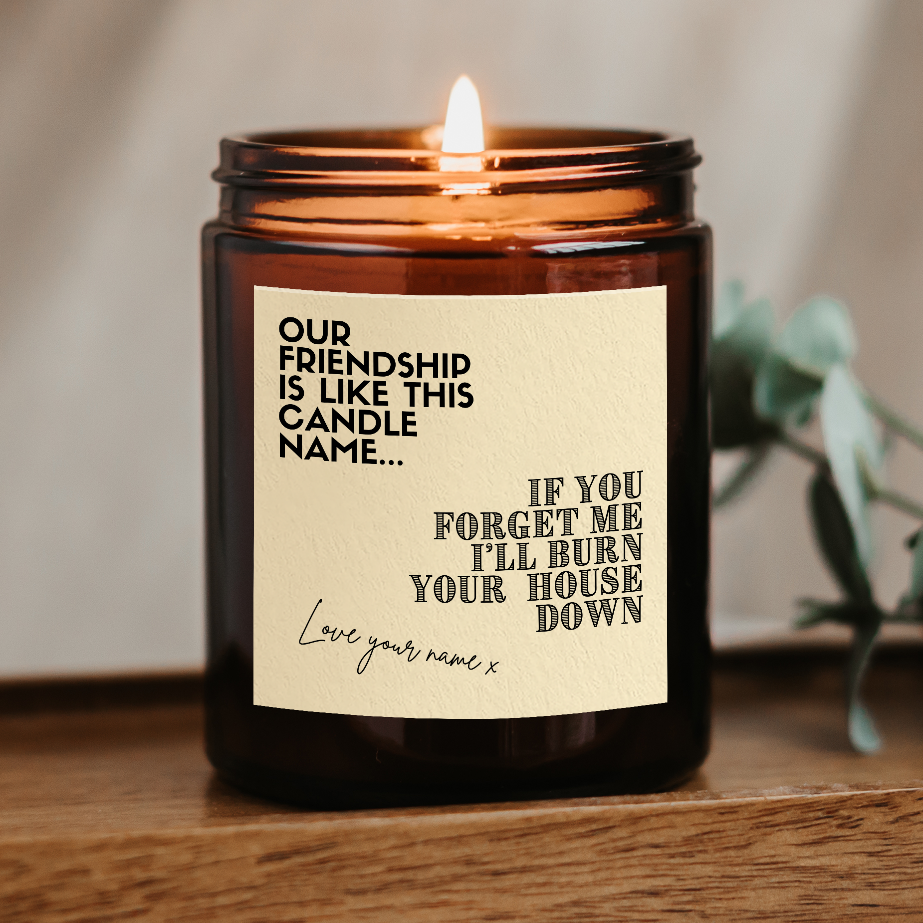 Personalised Funny Friendship Gift